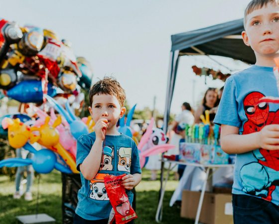 Chase Park Community Fair – 6 June