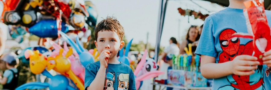 Chase Park Community Fair – 6 June